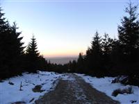 bild-2008-12-30-05-10-17.jpg