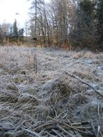 bild-2008-12-30-09-50-30.jpg